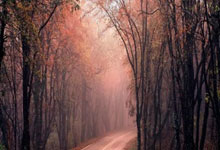 Global Economy in Flux: Tariffs and Turbulence Explained - Heated Debate