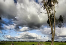 Global Economy in Flux: Tariffs and Turbulence Explained - Heated Debate