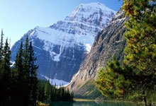 Crypto Staking for 'Passive Income': The Risks, The Reality, and Why You Should Be Wary