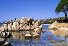 DeFi Tokens Post-October Crash: Don't Believe the Hype - Twitter Reacts